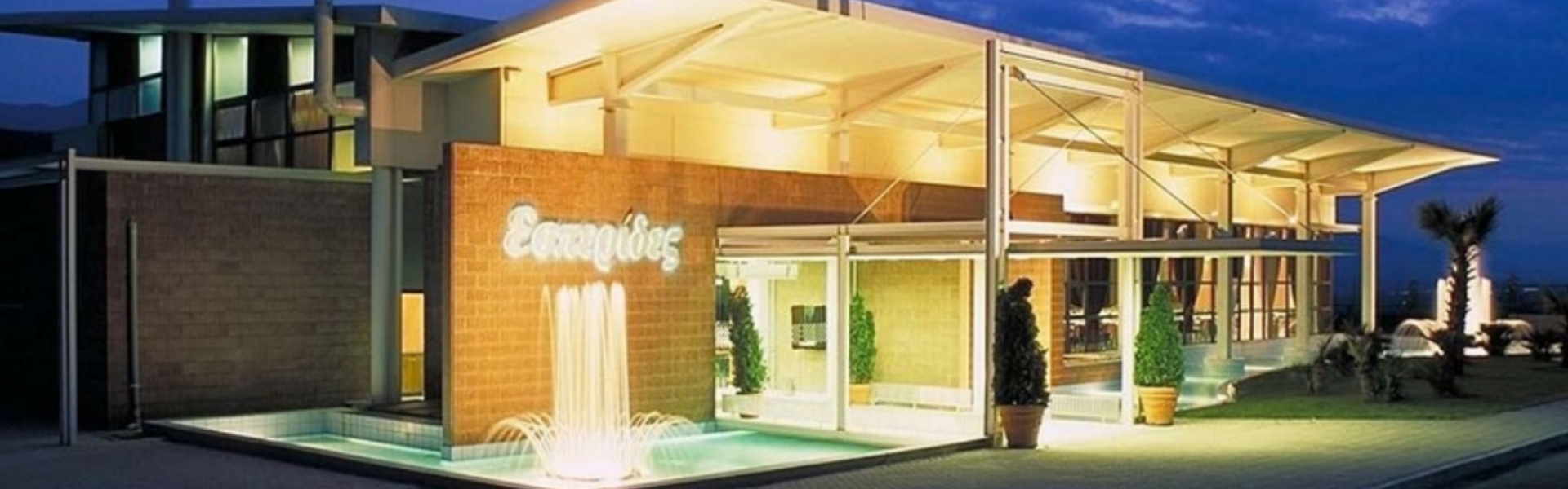 Όροι χρήσης